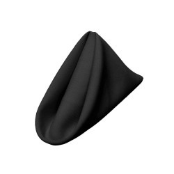 Napkin